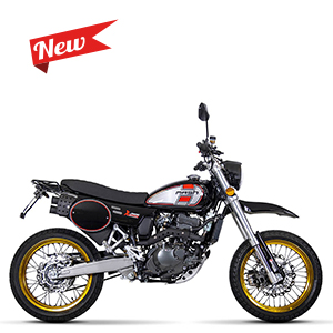 Mash Dirt Track 125cc